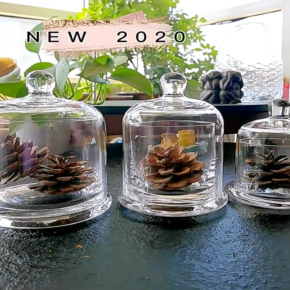 Candle Making Jars With Lids - โถแก้วเก็บของ ดอกไม้ชีวิตนิรันดร์ 8 สี เทียนอโรมาเธอราพี ฝาแก้ว