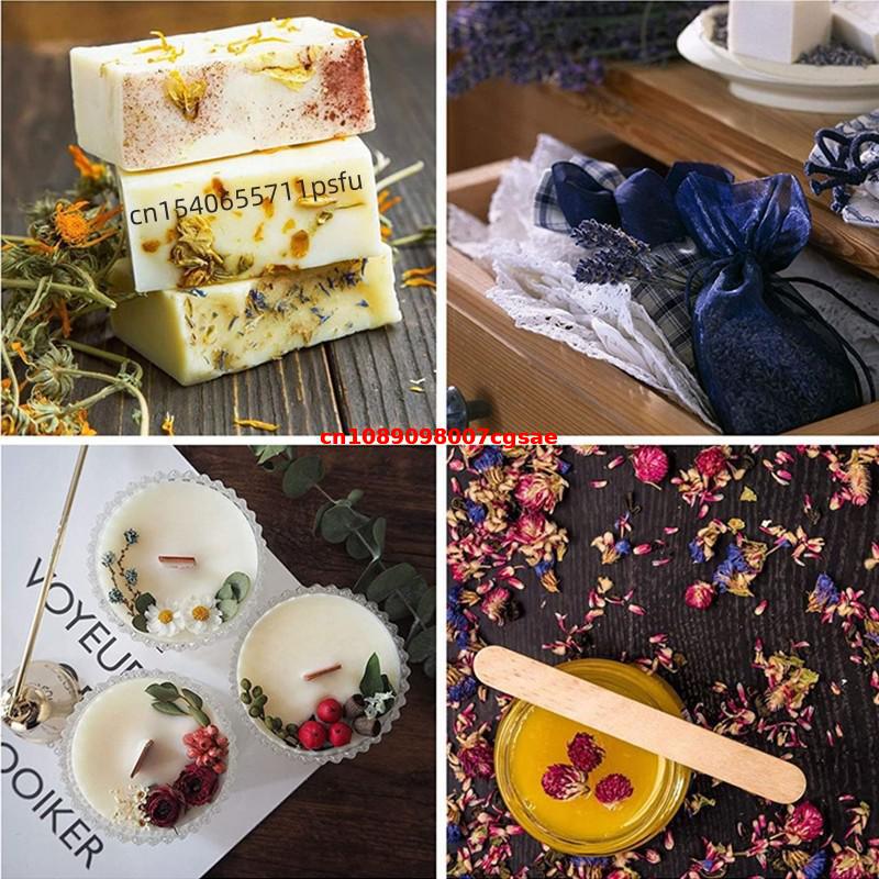 ดอกโกมเฟรน่าแห้งคุณภาพสูง สีแด - Candle Making And Perfume บทวิจารณ์และราคา